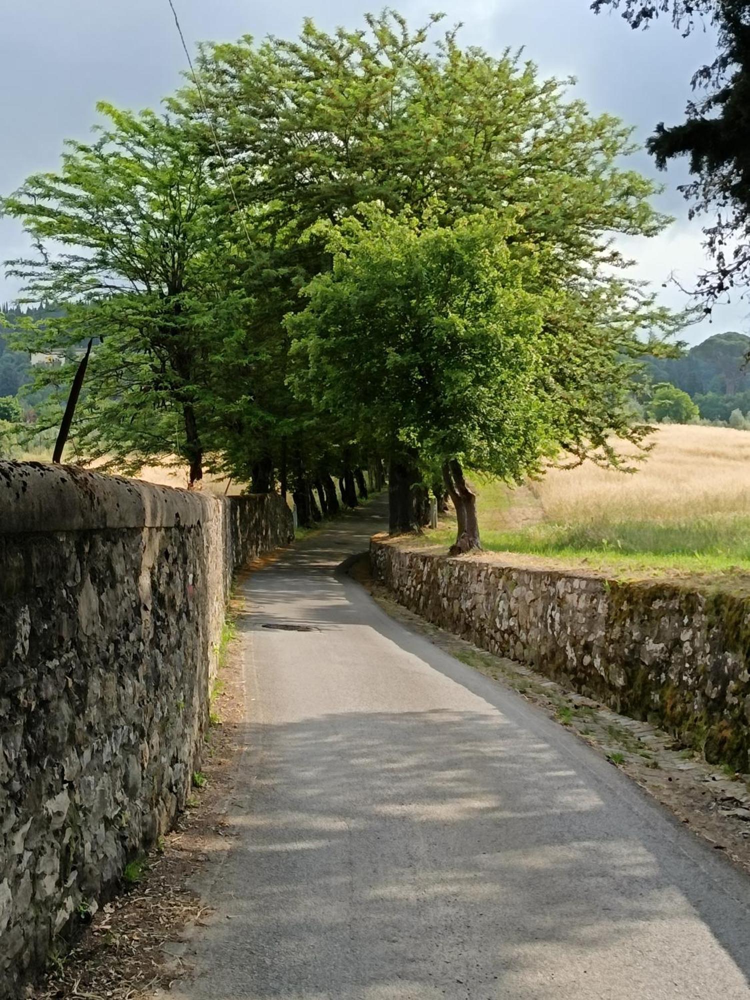 Appartement Casa Lilla A
